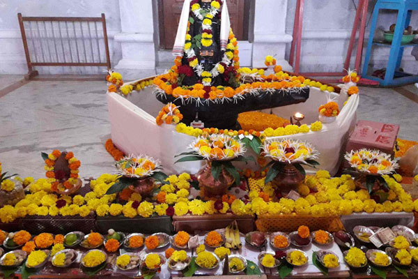 Kalsarp Pooja Cost